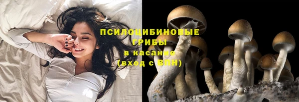 кокаин колумбия Алзамай