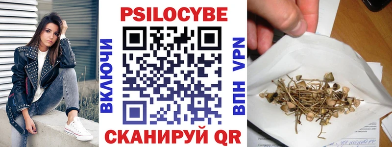 наркота  Аргун  Галлюциногенные грибы Psilocybine cubensis 